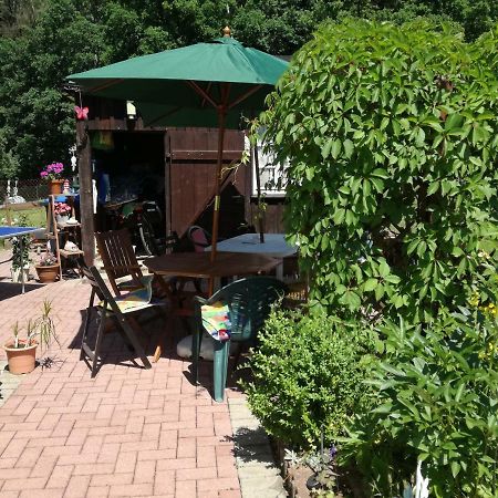 Ferienwohnung Am Wald Tharandt Exterior photo